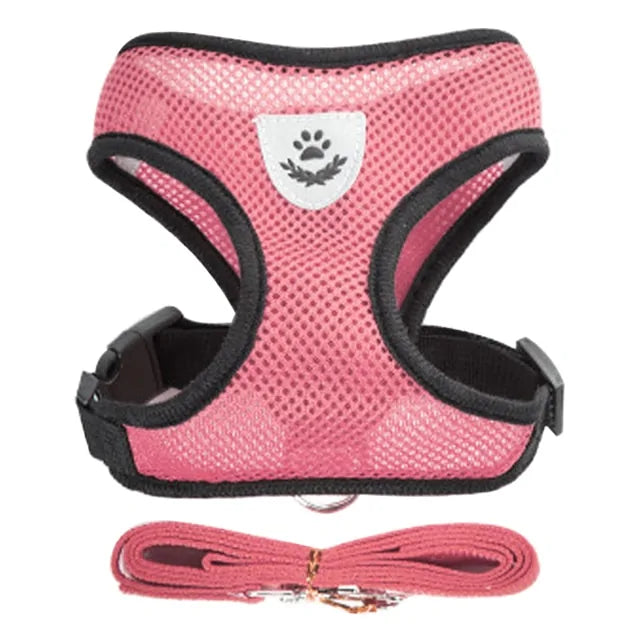 Pet Harness